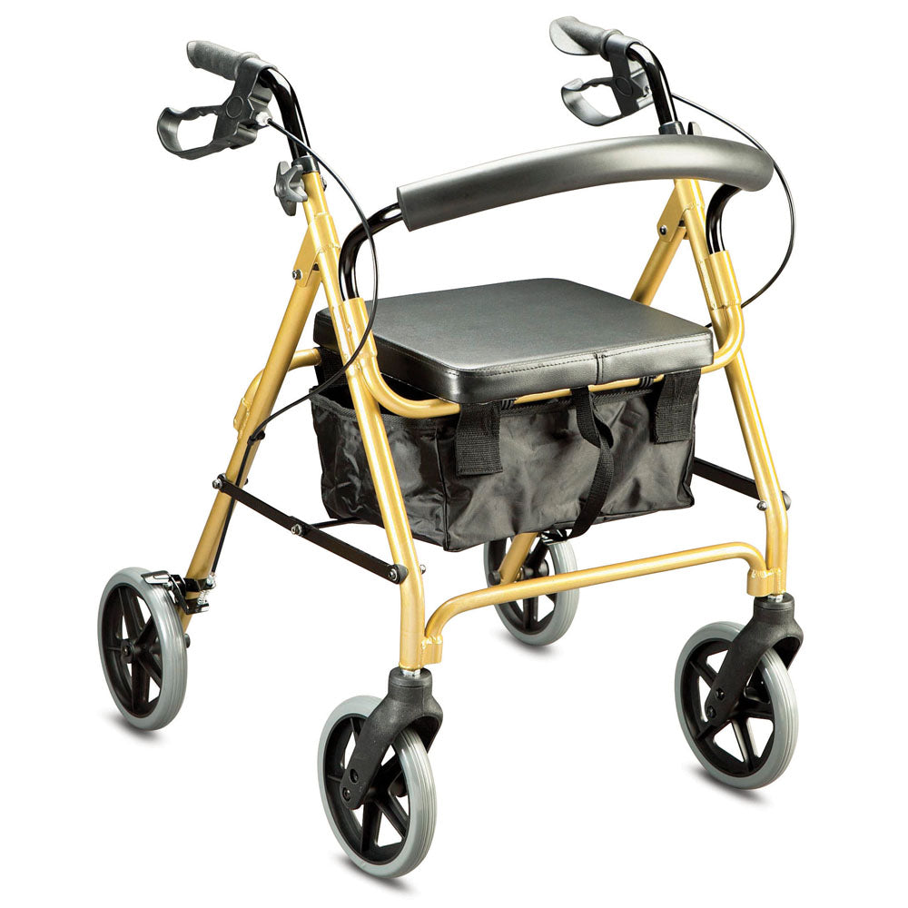 Trekker Seat Walker